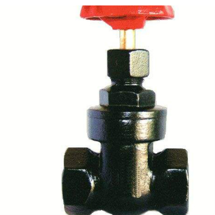 Z15T-10/16(ni)ݼyly